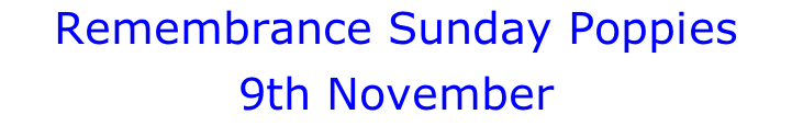 Remembrance Sunday Poppies 9th November