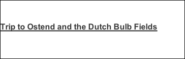Trip to Ostend and the Dutch Bulb Fields