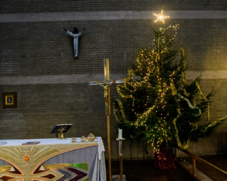D50_7744.jpg