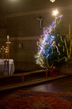 D72_1148.jpg