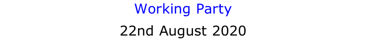 Working Party 22nd August 2020