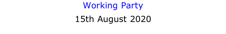 Working Party 15th August 2020