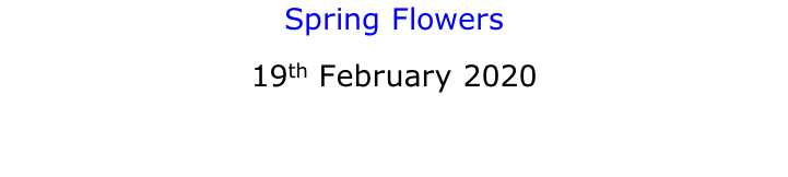 Spring Flowers 19th February 2020